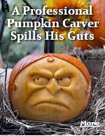 Adam Bierton is allergic to pumpkins, but that doesnt stop him from carving dozens each fall, the most of intricate of which can cost $5,000.